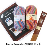 Opal毛糸＆編針特別セット『Hundertwasser(フンデルトヴァッサー)＋短5