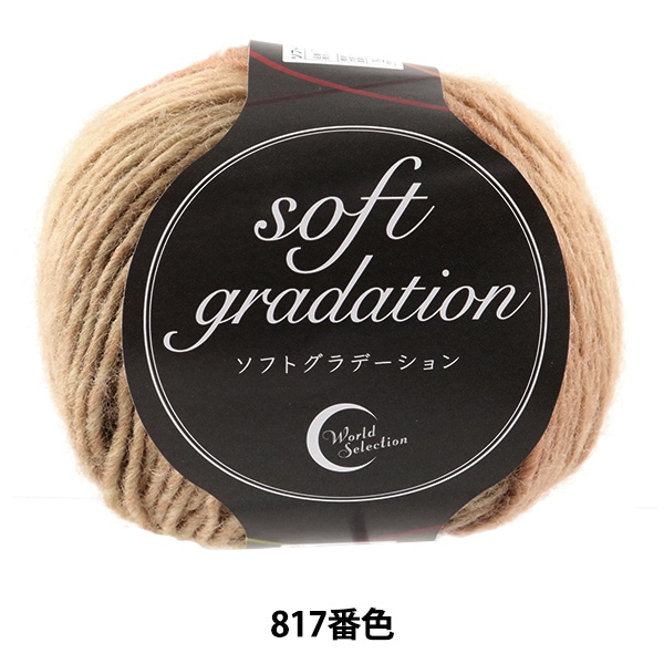 毛糸 『ソフトグラデーション 817番色 ナチュラル』 World Selection