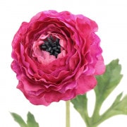 造花 シルクフラワー 『ラナンキュラス クリームホワイト A