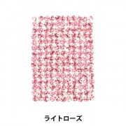 スワロフスキー 『#1088 XIRIUS Chaton クリスタル PP18 20粒』 ビーズ