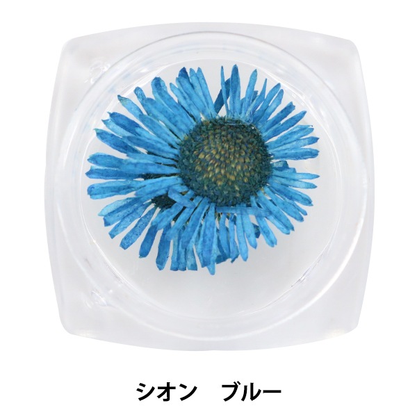 NO.242レジンパーツレジン道フラワー レジン 封入 パーツ 花 ドライフラワー 押し花 アクセサリー