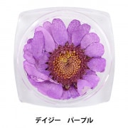 プリザーブドフラワー 『カスミソウ ピンク』 amifa アミファ すべての