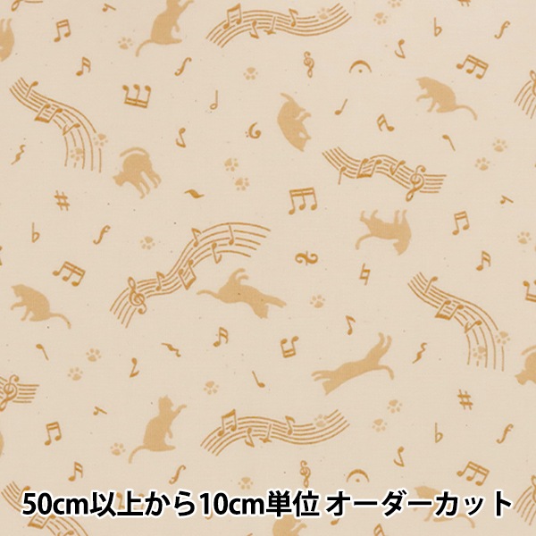 ڿ5  إ åץ ͤ ʥߥ KW-3115-11D