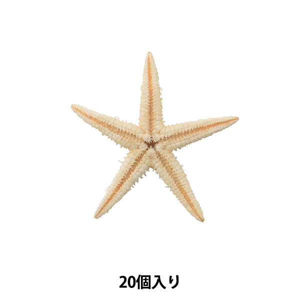 000000062749_VXuvU4J.jpg