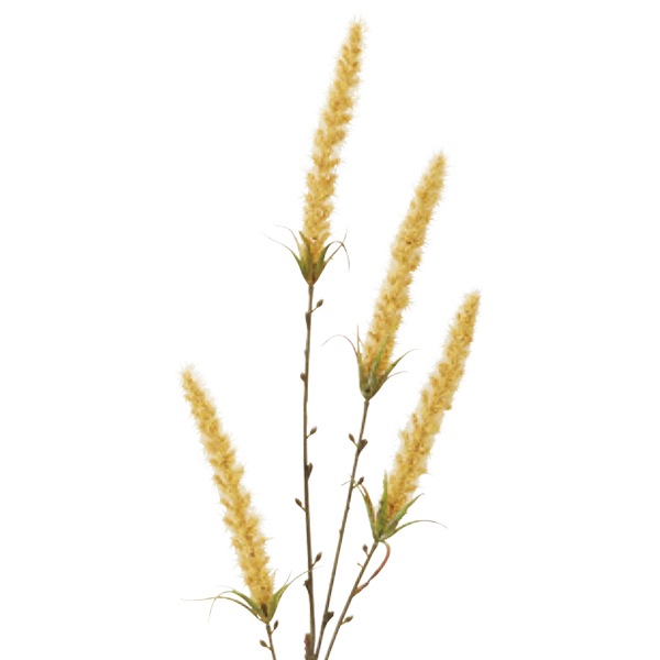 造花 シルクフラワー 『ドライフォックステールスプレー クリーム