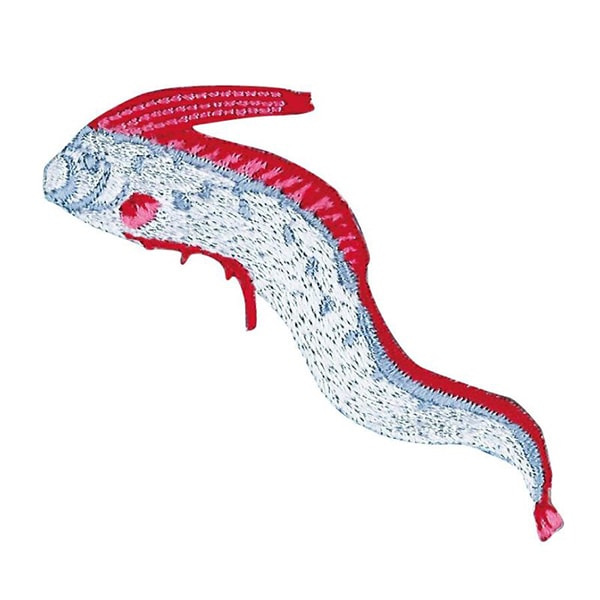 ワッペン 『図鑑コレクション リュウグウノツカイ ZCW-07』 ソーイング