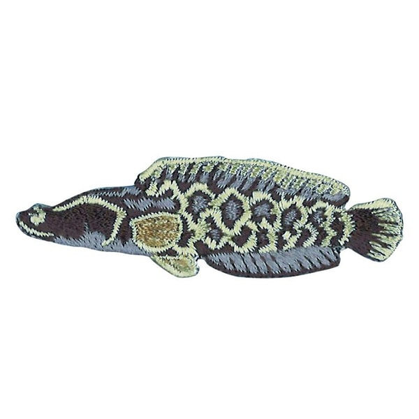 珍品 ベスト ワッペン 3点セット ポンチョ ポンチョ風ニットベスト トップス おしゃれ[品番：ZX000006440