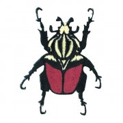 ワッペン 『図鑑コレクション サソリ ZCW-19』 ソーイング,ワッペン