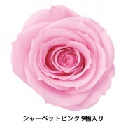 プリザーブドフラワー 『ローズ いずみ カーニバルルージュ 9輪入り