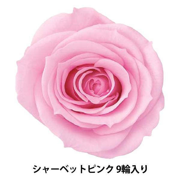 ♪アンティーク 薔薇の花籠とリボンのビスケットバレル ビスケットジャー 楽天市場】ビスケットバレルの通販