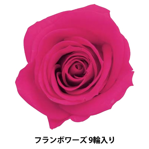 プリザーブドフラワー 『ローズ いずみ フランボワーズ 9輪入り 03480