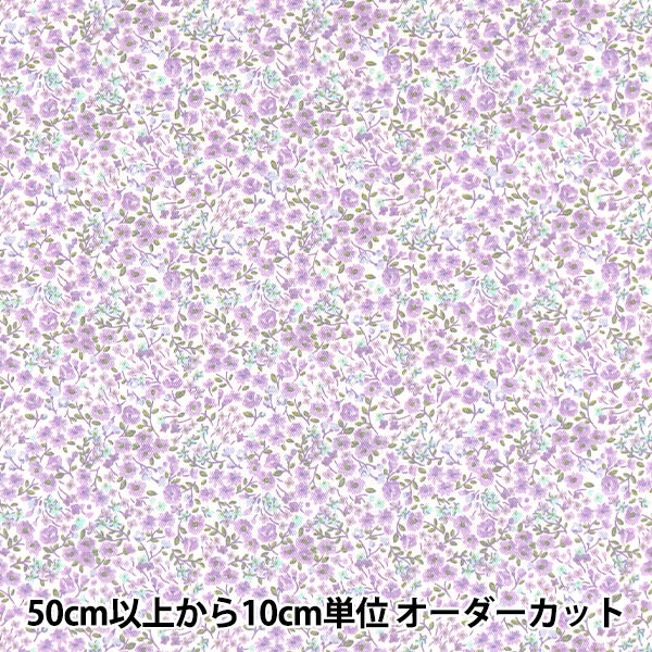 �ڿ���5����� ���� �إݥץ�� �ۡ��ߡ����쥯����� DH10060S-D��
