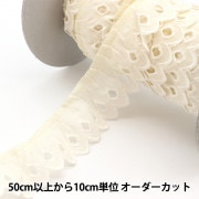 リース土台 『リース 25cm 615-087W』 フラワー,花器,リース| ホビー