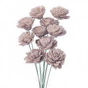 ドライフラワー❣️ ドライドライフラワー (Dry Dry Flower) | Vocaloid Wiki | Fandom
