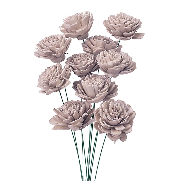 ドライフラワー 『ソーラーローズ 小 シャンパン 32081-080』 フラワー