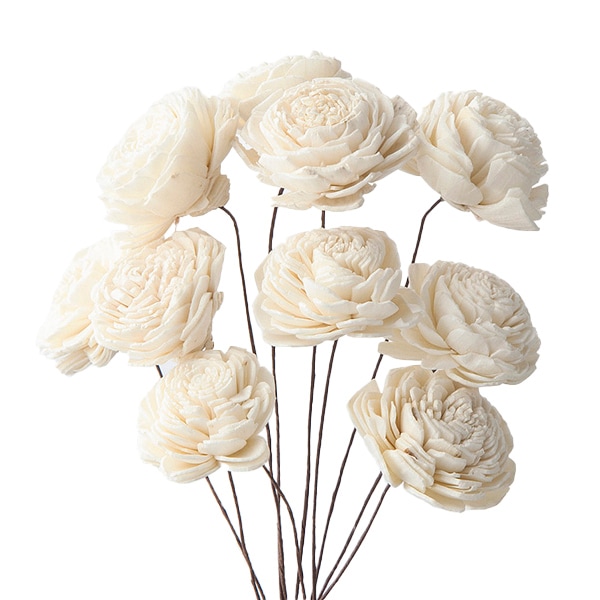 ドライフラワー 『ソーラーローズ 小 白 3208-1-010』 フラワー,ドライ