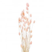 日本画用紙 『優彩 麻紙ボールド F0』 HOLBEIN ホルベイン 画材