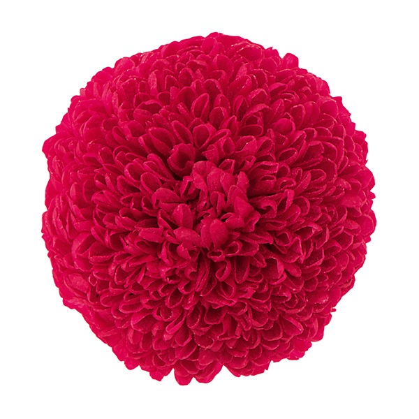 プリザーブドフラワー 『ポンポン菊 ミディー べにいろ 02646-330