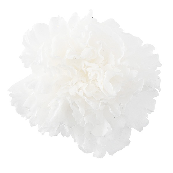 プリザーブドフラワー 花材(No.21)　カーネーション　14個 プリザーブドフラワー 花材(No.21) カーネーション 14個