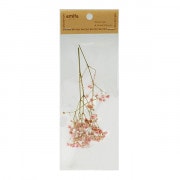 プリザーブドフラワー 『ブルーム ホワイト』 amifa アミファ すべての