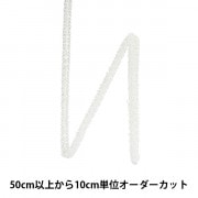 【数量5から】 手芸ブレード 『レーヨンブレード 幅約6mm 000番色 111-675』|ブレード|服飾