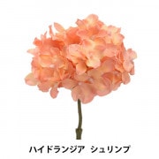 プリザーブドフラワー 『カスミソウ ピンク』 amifa アミファ すべての