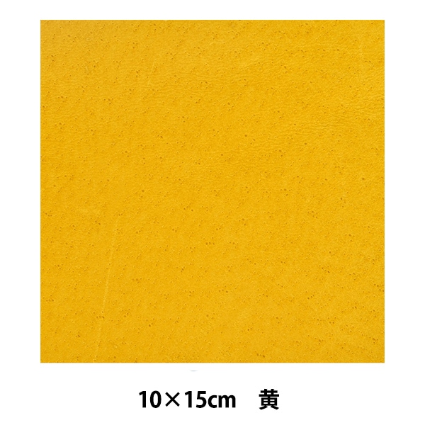�쥶�� �إ������� �� 10cm��15cm �� #051��