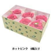 ミックスカラー❇️スタンダード バラ❣️ドライフラワー ミックスカラー❇️スタンダード バラ❣️ドライフラワー