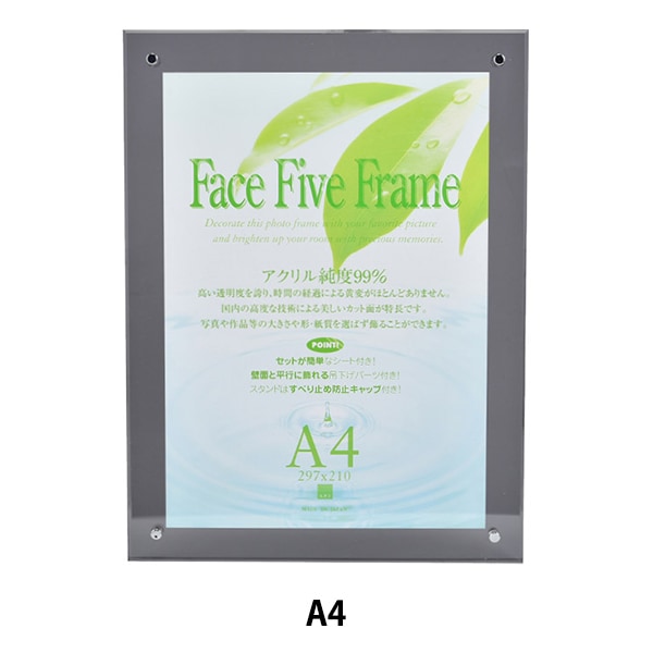 最終値下げ　額縁 F6 金彩(ゴールド) 額装 ガラス入 額縁 F6 金彩(ゴールド) 額装 ガラス入