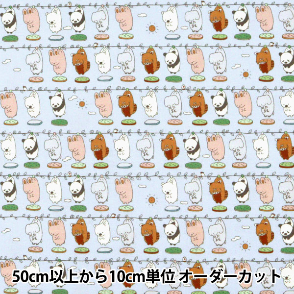 �ڸ��ʸ¤�� �ڿ���10����� ���� �ع����ɽ����å��� ���Ĥ�Ĥ��������á� �Ĥ뤷����� KG03-TSU5��