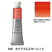 絵具 『プロフェッショナル ウォーターカラー 5ml 010 アントワープ