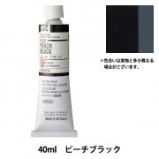 絵具 『油絵具 HOC6号 H154 アイボリブラック』 HOLBEIN