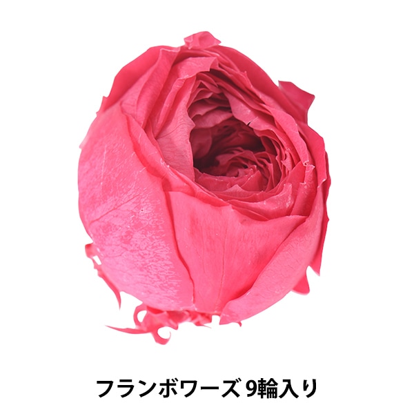 プリザーブドフラワー 『ローズ ココット フランボワーズ 02730-211 