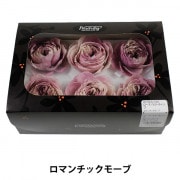 プリザーブドフラワー 『ローズ ララ クラーレットピンク 02780