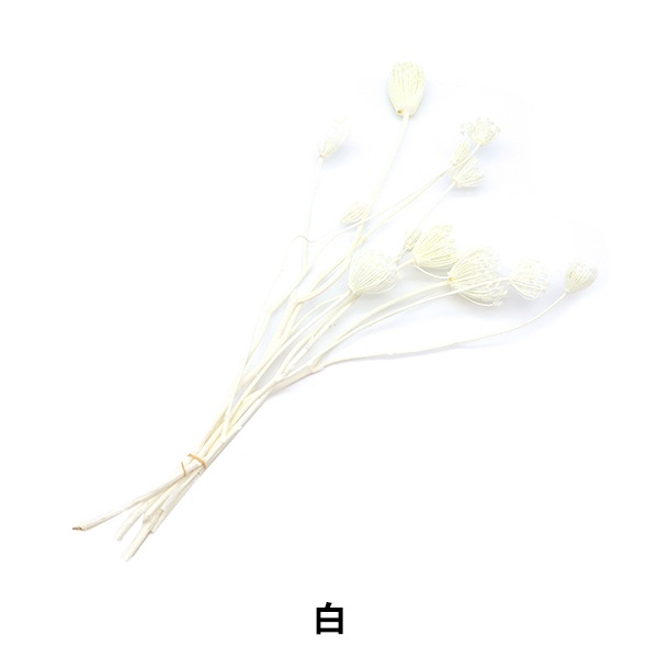 白い小花 花芯セット