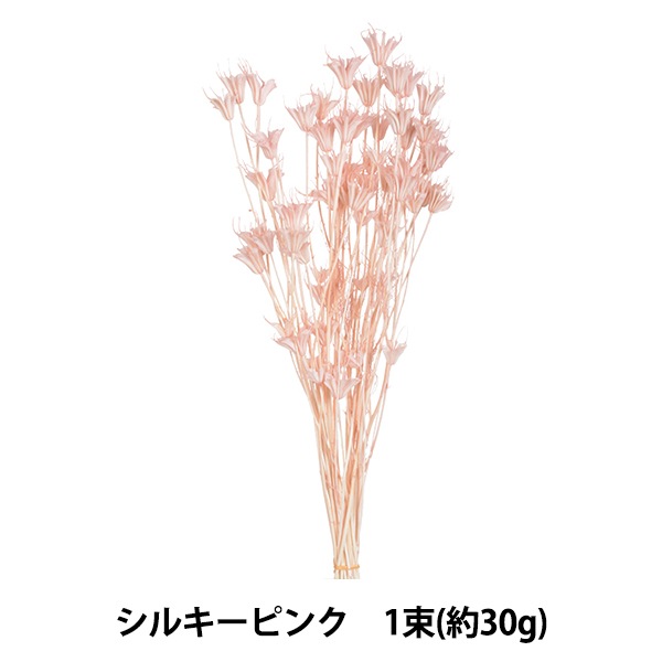 ドライフラワー 『ニゲラオリエンタリス シルキーピンク 10380-161