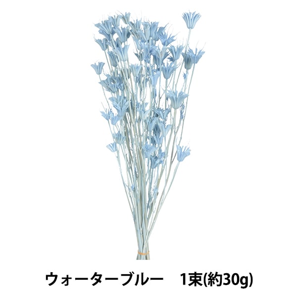 ドライフラワー 『ニゲラオリエンタリス ウォーターブルー 10380-691