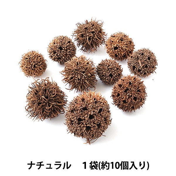 オーバルリース♡ゆらゆらアンバーバームが可愛い♡ ドライフラワー 『アンバーバーム ミニ ナチュラル 66229』 フラワー