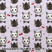 ڿ5  إå patch work animals ͥ&꡼ ѡץ LOA-61030-2D KOKKA å