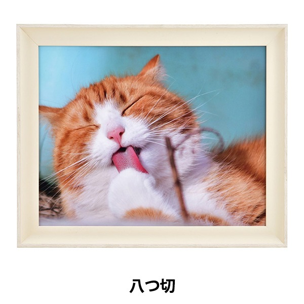 額 『デッサン額 八ツ切 ネコ アイボリー 8158』 画材・文具,額