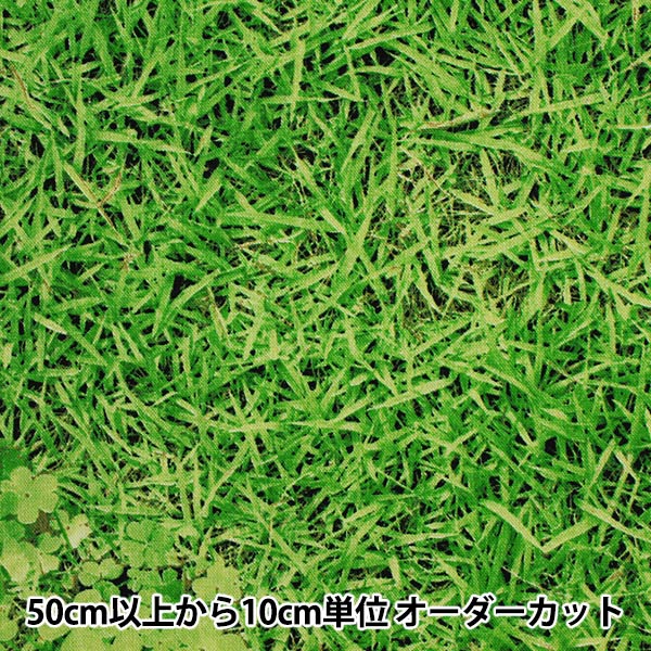 生地 数量5から】 生地 『10番オックス 芝生柄プリント HA-3037』 KOKKA
