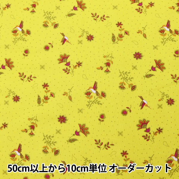 ڿ5  إ㥷եȥ꡼ 㡼ƥ  02009-4