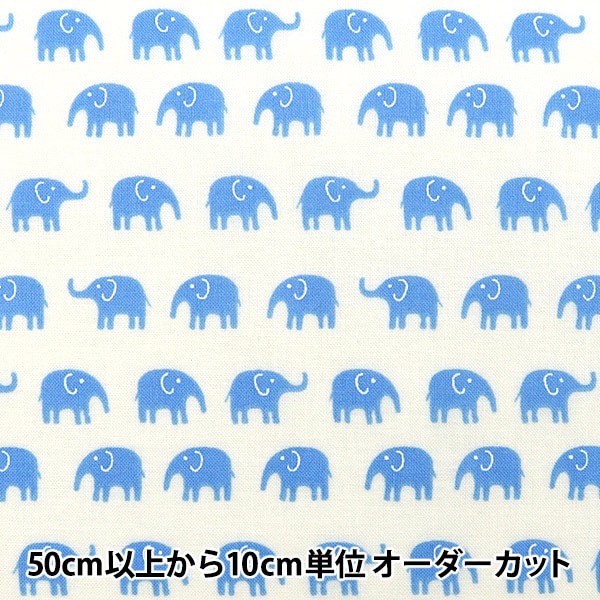 �ڿ���5����� ���� �إ����� �ۡ��ߡ����쥯����� ���� �֥롼 YA11724S-C��