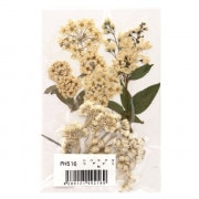 押し花キット 『つみたて花パック アジサイ PH001』 フラワー,押し花