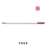 色鉛筆 『色辞典 単色 銀鼠 CI-REX10』 Tombow トンボ鉛筆 画材