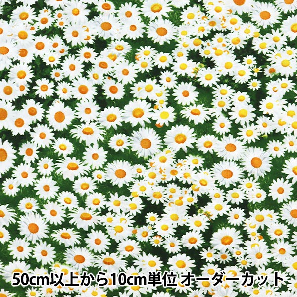 数量5から】 生地 『インクジェットプリント デイジー C7471-MULTI