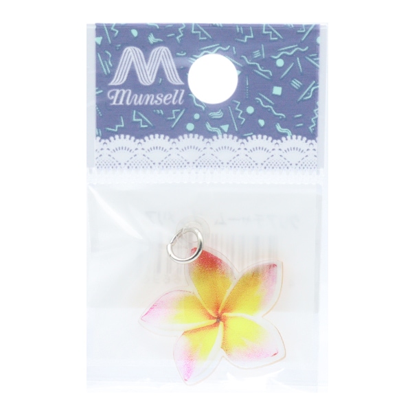 あつ様 No.2506 わけあり アメトリン チャーム 大漁雲（チャーム