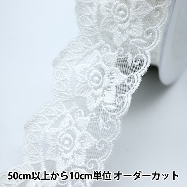 �ڿ���5����� �졼�� �إ졼�� �ۥ磻�� ��5cm�� ISY-6-21-3��