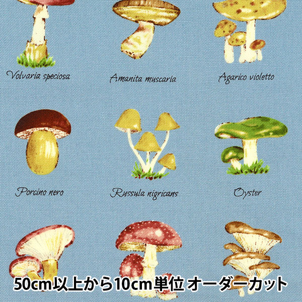 数量5から】 生地 『オックス きのこ図鑑 ブルーグレー M-853-1C