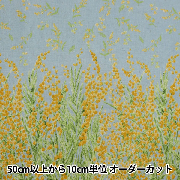 �ڿ���5����� ���� �إ⡼���� ���㥷������ �֥롼���쥤 148-1857-F3��